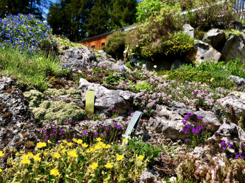 Jardin botanique alpin Flore-Alpe 
