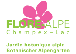 Logo Flore Alpe